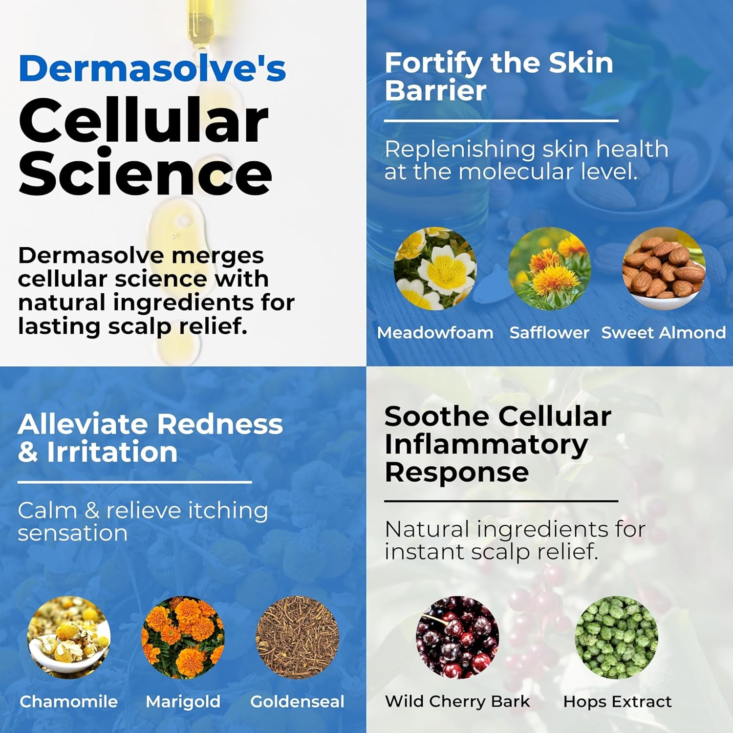Dermasolve Psoriasis & Dandruff Oil, Dermatologist Approved for Flaky Scalp Relief
