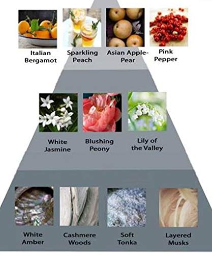 Perry Ellis 360° Coral Body Mist, 8 Ounce