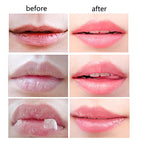 4 PCS Bee Lip Balm Honey Pot,Honey Lip Mask,Honey Propolis Lip Mask Moisturizing Moisture Nourishing Dry & Chapped Lips,Lip Care and Reduces Lip Lines,Lip Exfoliating