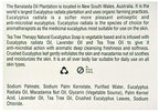 Tea Tree Therapy Vegetable Base Bar Soap, Eucalyptus, 2 count
