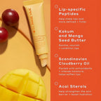 4 Pack Lip Gloss Set of Lip Gels, Tinted Lip Balm to Deepen & Enhance Moisturizing Jelly Lip Gloss - Everyday Lip Makeup - Multi-Purpose Lip Oil with Lip-specific Peptides