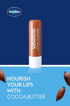 Vaseline Lip w/o Backer Card Cocoa - 12 Pack Box