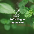 RATED GREEN Real Shea Cold Press Nourishing Shampoo w. Sunflower Seed Oil | Vitamin E | Deep Moisture & Soothing Care for Dry, Damaged Hair | Silicone-Free, Korean Vegan Formula | 13.52 fl oz