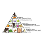 Al Haramain Hayati Gold - Perfume for Women and Men - Timeless Allure - Sweet Perfume with Vanilla, Musk, and Tolu Balsam Notes - 3.33 oz EDP Spray