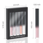 AMY'S DIARY Matte Plum Liquid Lipstick 5Pcs Sets,24-hour Lipstick White Nude Naked Gray Plum Lip Stain 24 Smudge Waterproof for Women (Set06)