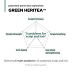 AMOS PROFESSIONAL The Green Tea Shampoo Refresh for Thinning Hair, Korean Shampoo for Oily Scalp l Deep Cleans, Strengthening Hair, All Hair Types, 16.9 fl.oz