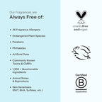 Skylar Salt Air Eau de Parfum - Hypoallergenic & Clean Perfume for Women & Men, Vegan & Safe for Sensitive Skin - Fresh Perfume with Notes of Driftwood, Sea Salt & Seaweed - 10mL /0.33 Fl oz