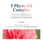 PETITFEE Sleeping Lip Mask Camelia Seed Complex