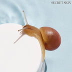 SECRET SKIN Snail+EGF Perfect Cream Wrinkle Bounce Firming Fine line Care Korean Skin Care (#01 Eye Cream)