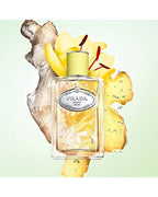 Prada Milano Infusion De Gingembre Eau de Parfum Spray for Unisex, 3.4 Ounce