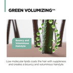 AMOS PROFESSIONAL The Green Tea Shampoo Refresh for Thinning Hair, Korean Shampoo for Oily Scalp l Deep Cleans, Strengthening Hair, All Hair Types, 16.9 fl.oz