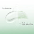 Dry Shampoo Second Generation Oil Control Volumizing Gel， No Need To Wash. Plant Ingredients, 24-Hour Oil Control, Improves Itchy Scalp, 4d Hyaluronic（80ml, Cedar Scent）