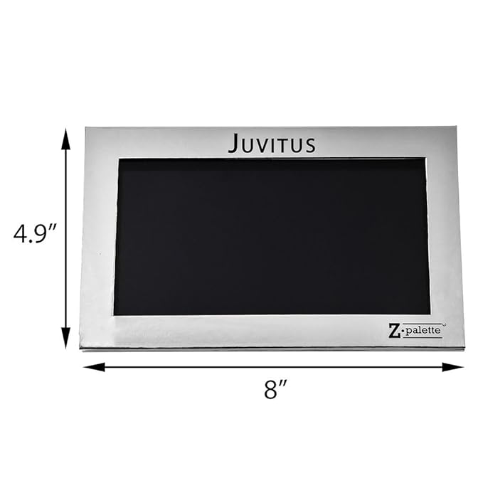 Z Palette Large Metallic Collection (Metallic Silver) with 20 Piece Metal Stickers - Made Exclusively for JUVITUS