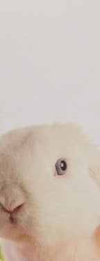 Farmhouse Fresh Rich Shea Butter Body Cream - Fluffy Bunny 8oz