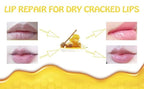 2PCS Honey Balm & Strawberry Lip Balm, Honey Lip Balm, Lip Masks for Dry and Cracked Lips with Brush, Lip Exfoliator & Moisturizer, Reduces Lips Lines & Lightens Lips, Anti-Wrinkle, Aging