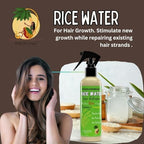 NEW Fermented Rice Water for Hair Growth - Infused with Rosemary, Biotin, Caffeine, Keratin Vegan Non-Greasy Spray Naturally Thicker, Longer, Softer Men & Women (12 OUNCES, Rosemary Lemongrass)