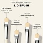 HALEYS Lid Eyeshadow Brush, Medium Flat Tapered Brush, Easy Blending and Shading for Building Eyeshadow Color, High-end Synthetic Bristles, Multi-tasking, for Cream and Powder Makeup, Vegan + CF