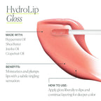 Well People Hydrolip Gloss, Lip Plumping Gloss For Sheer Color, Smooths & Hydrates Lips, Made With Jojoba Oil, Vegan & Cruelty-free, Nudist (Pack of 2)
