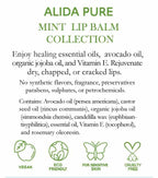 Mint Lip Balm Collection, Vegan Lip Lips,