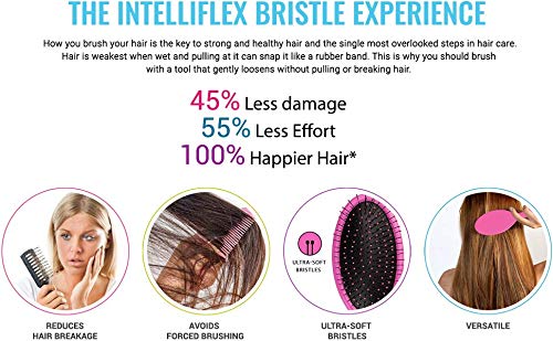 Wet Brush Disney Original Detangler