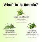 Sulfate Free Shampoo and Conditioner Set - Tea Tree Sage and Rosemary Shampoo and Conditioner for Dry Flaky Scalp Care - Deep Cleansing Color Safe Shampoo and Conditioner for Damaged Dry Hair Care