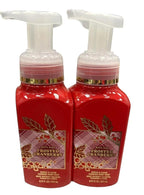 Bath & Body Works Gentle Foaming Hand Soap - Frosted Cranberry (2 Pack)