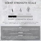 ENVIRONMENT Inspired by 5-Star Hotels WSTN Lotion, 300ml Luxury Scented Lotion (White Tea | Cedar | Aloe Vera) Bathroom Luxury, Men & Women High-End Body Lotion, Hand Cream, Dry Skin Treatment