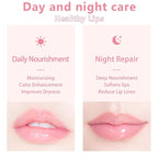 3 PCS Bee Lip Balm Honey Pot, Strawberry & Apple Lime & Coconut Lip Mask Overnight Propolis Moisturizing Lip Balm Hydrating Prevention Dry and Crack Lip Scrubs Exfoliator Lip Wrinkle Care (Set D)