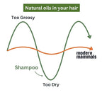 Modern Mammals Magic Mud Mens Shampoo Alternative, Lather Free, Moisturizing Daily CoWash to Protect Natural Oils, Cleansing, Hydrating Goop, Replaces Conditioner, 2 in 1, Barber Recommended (32oz)