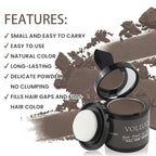 VOLLUCK Hair Shadow Powder for