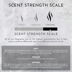 ENVIRONMENT Inspired by Designer Perfume BR540 Lotion, 300ml Luxury Scented Lotion (Amber Crystal | Vetiver | Oud Musk) Bathroom Luxury, Men & Women High-End Body Lotion, Hand Cream, Dry Skin Help