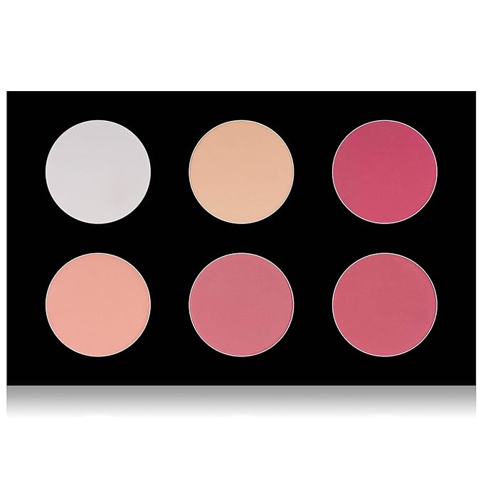SHANY Cosmetics Shimmer & Matte Blush/Highlighter Face Palette