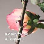 Addison Rae Fragrance Happy - Luxury Perfume for Women - Fruity Floral Scent - Eau De Parfum - Notes of Pink Lychee & Red Grapefruit - Long Lasting Vegan Travel Cologne - Gift for Her -3.4oz EDP Spray