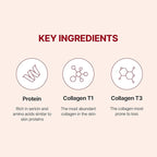 Wrinkle-fit Tangle Eye Cream, Chargable Device Tip + Protein Collagen Eye Cream, All-in-One Under Eye Treatment, 0.67 fl oz, Eye Massager (Cream+Device)