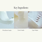 Gardenia Veil Color Shield Shampoo – Color-Treated Hair Care with Vegan Collagen, Protein Complex & White Bloom – Shine Enhancing, Damage Repair, Sulfate & Silicone-Free – 300ml / 10.1 fl oz