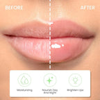 8 Colors Lip Oil Lip Glaze, Big Brush Glaze,