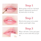 3PCS Bee Lip Balm Honey Lip Balm,Exfoliating Honey Pot Lip Balm Sleeping Lip Mask with Brush, Hydrating & Prevention Dry and Cracked, Lip Scrubs Exfoliator & Moisturizer