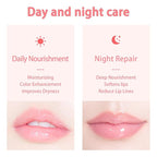 3 PCS Bee Lip Balm Honey Pot, Exfoliating Honey Strawberry Watermelon Lip Mask Overnight with Built-In Brush, Hydrating Prevention Dry and Crack Lip Scrubs Exfoliator Lip Wrinkle Care