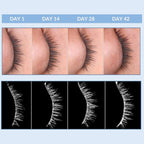 Serious Skincare - Eyetality PM Total Eye Care - Evening Night Eye Cream with Lash Boosting Peptides for Thicker, Longer Lashes - 0.5 oz.