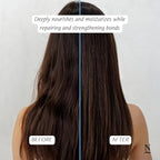 Nopalera Shampoo Bar - Balance and Repair, For Oily Hair, Color Safe, Paraben Free, Silicone & Sulfate Free, Made With Prickly Pear Oil (3.65 oz)