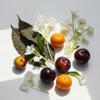 DIVAIN-366 - Inspired by Tobacolor - Perfume Impression Unisex - Oriental Fragrance for men and women.