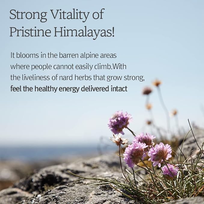 NARD Shampoo and Conditioner Set - Scalp Vitality, Soft Cleansing(Containing Argan Olive Jojoba Macadamia Sunflower Oil, Protein, and Amino Acids) - 33.8 oz Mother's day gift for mom