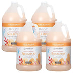 Ginger Lily Farms Botanicals Moisturizing Shampoo for All Hair Types, Coco Mango, 100% Vegan & Cruelty-Free, Coconut Mango Scent, 1 Gallon Refill (Pack of 4)