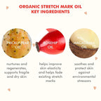 Alteya Organics Organic Pregnancy Stretch Oil 3.7 Fl Oz/110mL