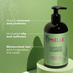 Mielle Organics Rosemary Mint Strengthening Shampoo and Conditioner Infused with Biotin, Cleanses and Helps Strengthen Weak and Brittle Hair, 12 Ounces