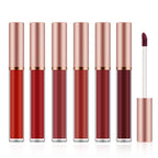6pcs Matte Lip Gloss Set for Women,Highly Pigmented Velvet Lip Stain，Long Lasting，Waterproof Lip Makeup，Nude，Brown