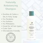 Yobee Naturally Rebalancing Shampoo | Dry, Flaky & Itchy Scalp Care with Para Probiotics, Organic Honey & Turmeric, Vitamin B12 & Oat Extracts | Dandruff & Psoriasis Relief (2 Bottles)
