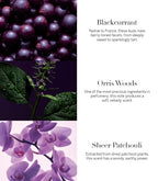 Victoria's Secret Very Sexy Orchid Eau de Parfum, Notes of Blackcurrant, Orris Woods & Sheer Patchouli, Perfumes for Women (3.4 oz)