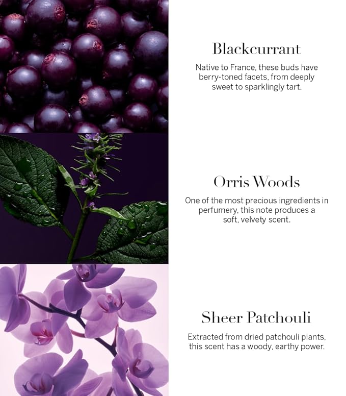 Victoria's Secret Very Sexy Orchid Eau de Parfum, Notes of Blackcurrant, Orris Woods & Sheer Patchouli, Perfumes for Women (3.4 oz)