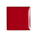 billion dollar brows Lip & Cheek Tint - Pigment